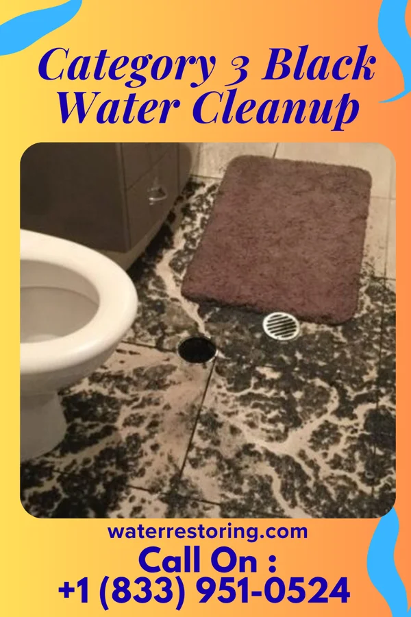Category 3 Black Water Cleanup in Byersville, NY