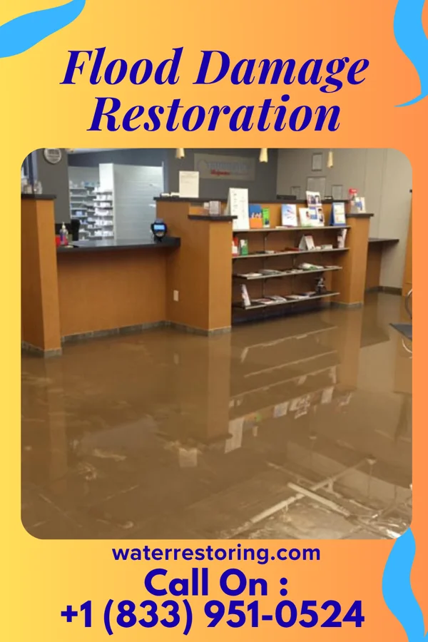 Flood Damage Restoration in Byersville, NY