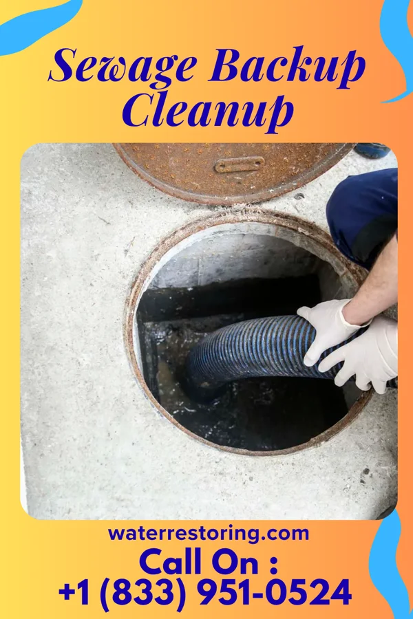 Sewage Backup Cleanup in Byersville, NY