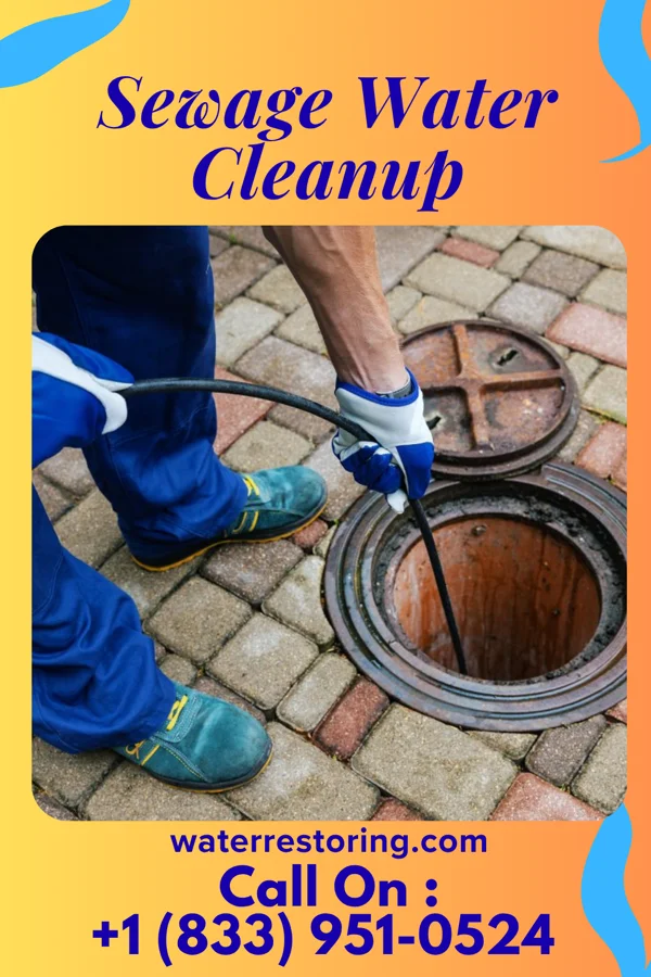 Sewage Water Cleanup in Byersville, NY